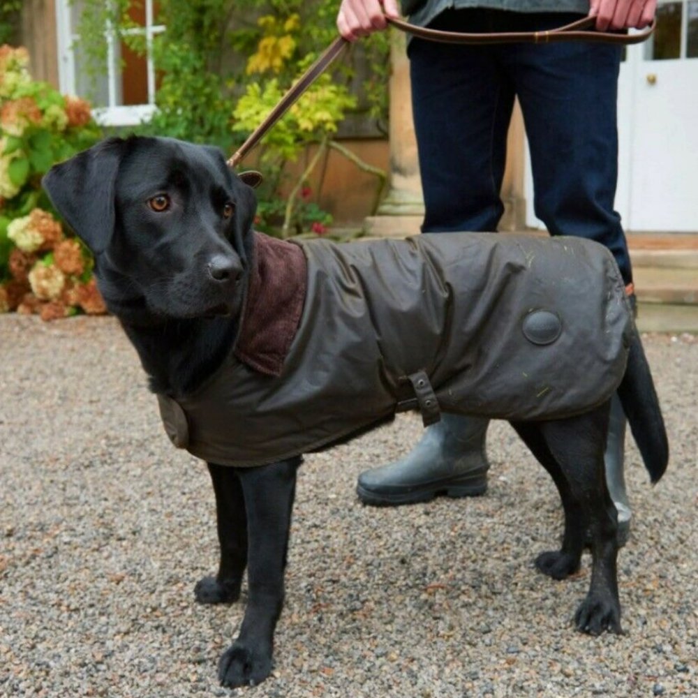 Olive - Barbour MATT Waxed Cotton Dog Coat MSRP$105